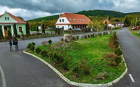 Vass Panzio